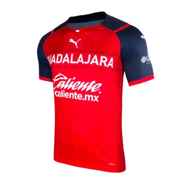 Guadalajara Chivas soccer jersey, red and blue.