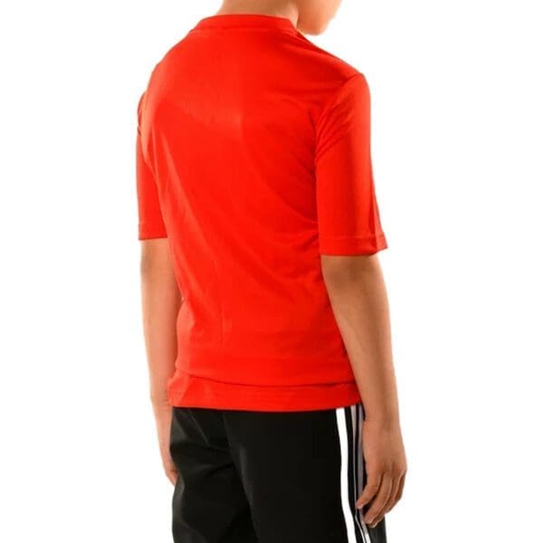 Boy wearing red shirt and black pants.