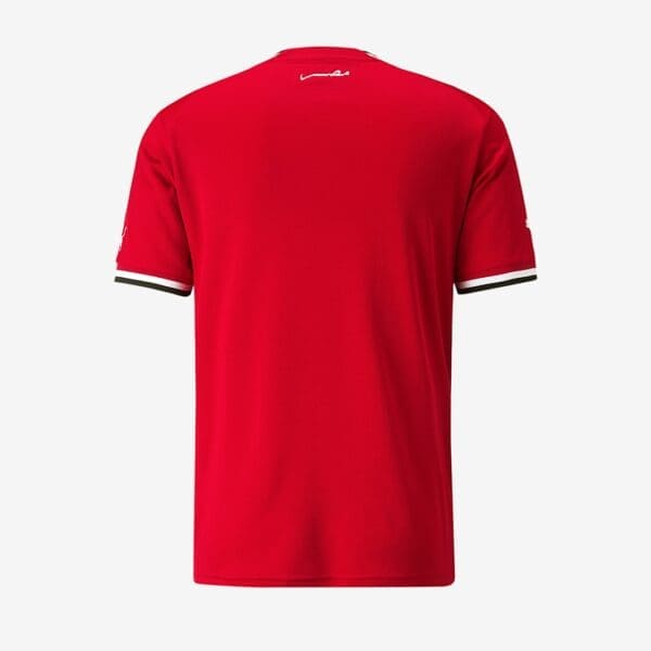 Puma Egypt Men's Home Jersey World Cup 2022 - Image 2