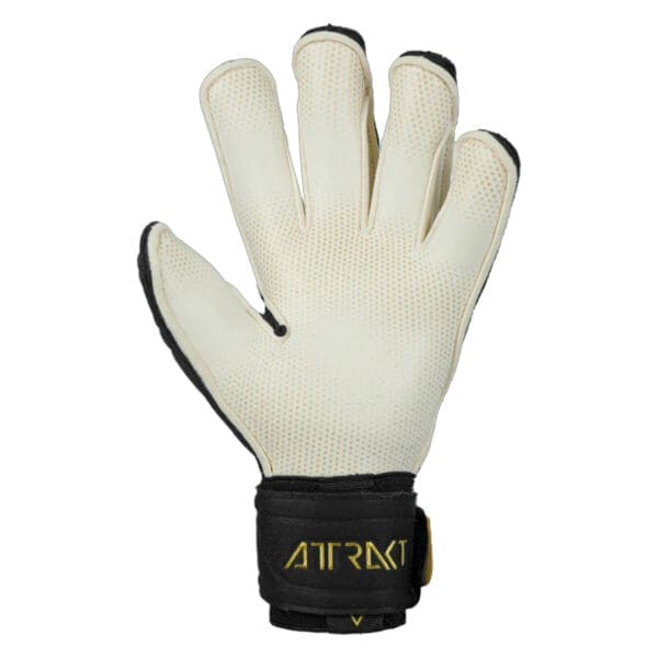 White and black goalkeeper gloves with gold logo.