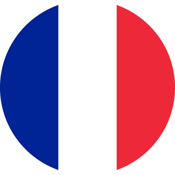 france-flag-round-medium