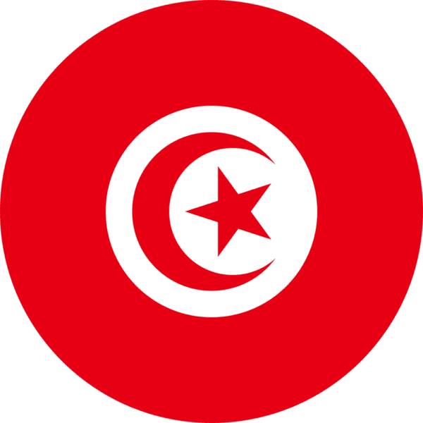tunisia-flag-round-medium