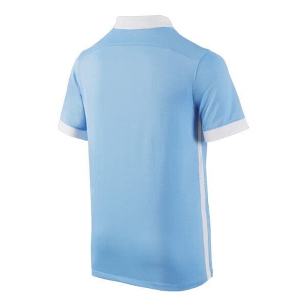 Back view of a light blue soccer jersey.