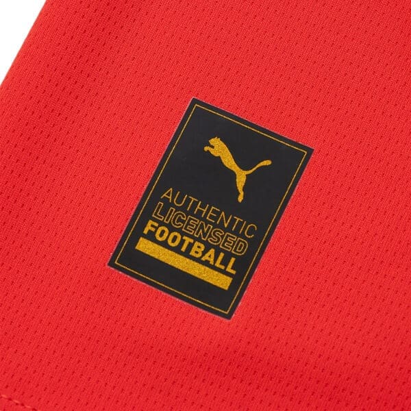 Puma Authentic Licensed Football Logo.