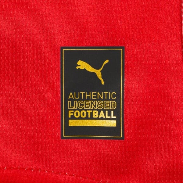 Puma logo, authentic licensed football.