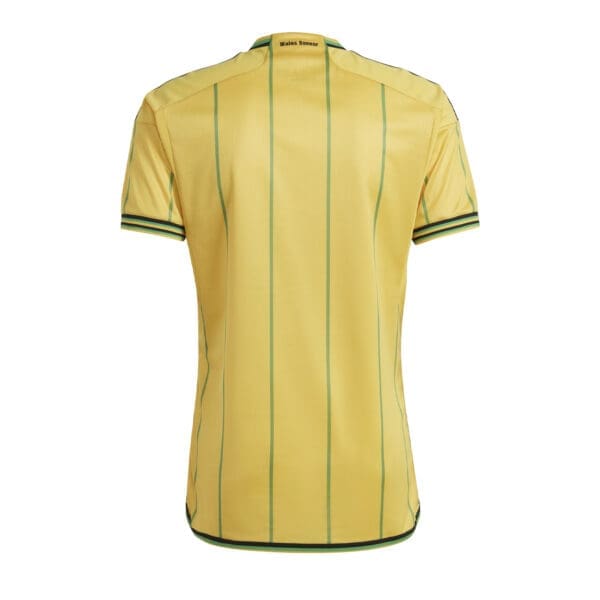 Yellow and green striped soccer jersey.