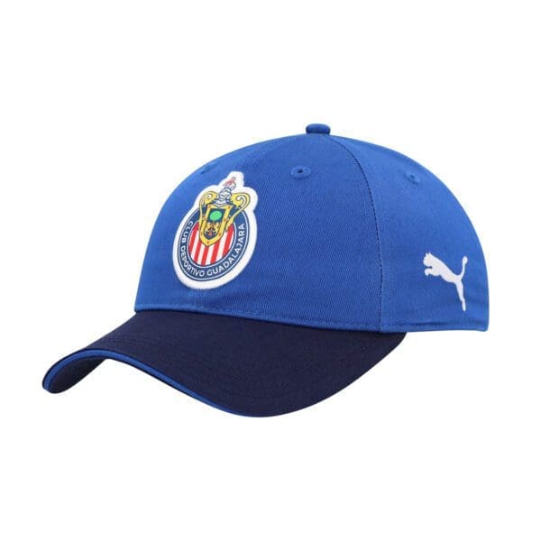 Blue and navy Puma Chivas hat.