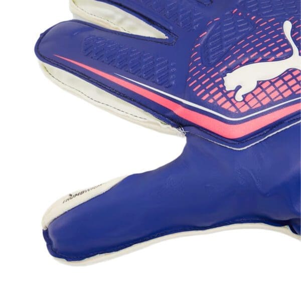 Blue and pink goalkeeper gloves with puma logo.