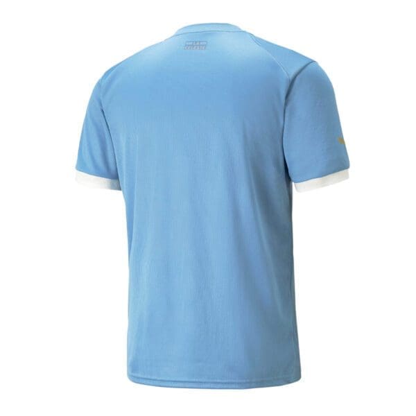 Puma Uruguay Men's Home Jersey World Cup 2022 - Image 6