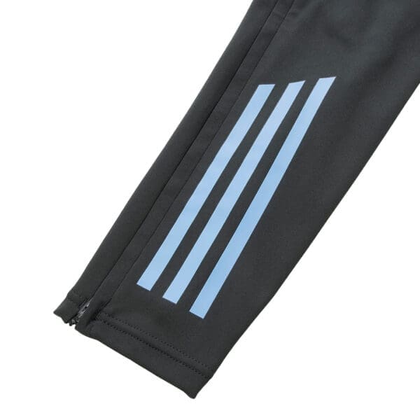 Black pants with three blue stripes.