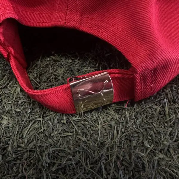 Puma Chivas Culture Cap - Image 4