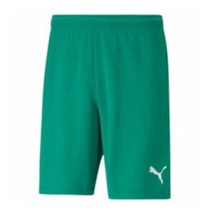 Puma Team Rise Men's Shorts- Green/White