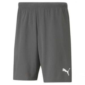 Puma Team Rise Men's Shorts - Smoked Pearl/White