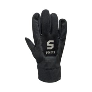 Select Player's Glove