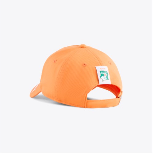 PUMA Ivory Coast Culture Cap - Image 2